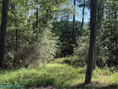 587 Georgetown Rd, Heathsville, VA 22473 - photo 2