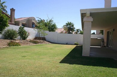 Wonderful Backyard