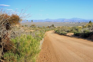 Views of the Superstitions