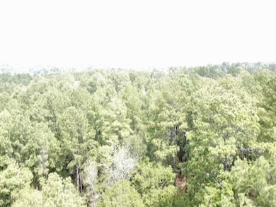 97825 TR PT 117 Hursey St, Jasper, TX 75951 - photo 2