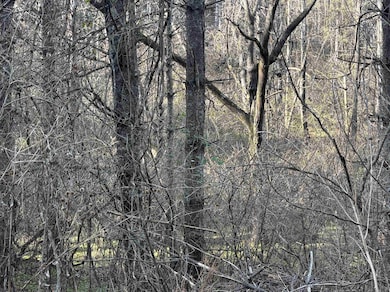 TBD Lot 75 Beaver Dam Dr, Austinville, VA 24312 - photo 3