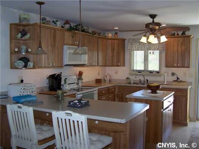 Kitchen Kitchen