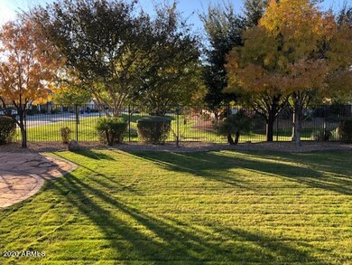 backyard 1