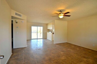 Mesquite living2