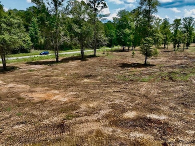 Expose Rd unit LotWP001, Columbia, MS 39429 - photo 7