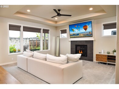 Fireplace Gas