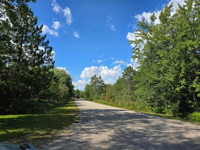 17796 Daisys Way, Kinross Township, MI 49752 - photo 7