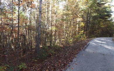 Additional View