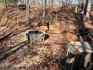 151 Padget Ln, Ellijay, GA 30540 - photo 5