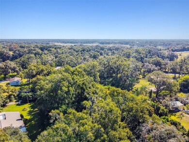 8408 Richland School Rd, Zephyrhills, FL 33540 - photo 4