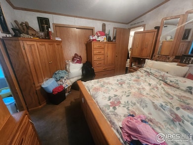 308 Elm St, Lochbuie, CO 80603 - photo 4