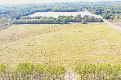 DJI_0313