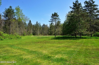 1032 Bogtown Rd, Salem, NY 12865 - photo 4