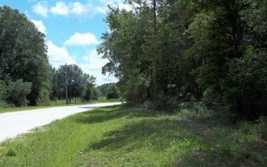 3964 276 Th Terrace, Branford, FL 32008 - photo 2