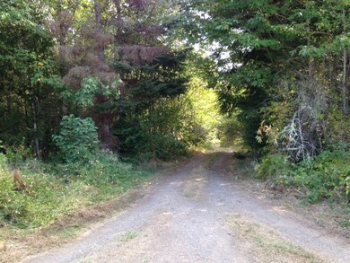 0 Center Rd unit 832903, Quilcene, WA 98376 - photo 4