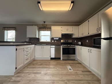 1419 Loon Lake Rd E unit Loon Lake, Bottineau, ND 58318 - photo 3