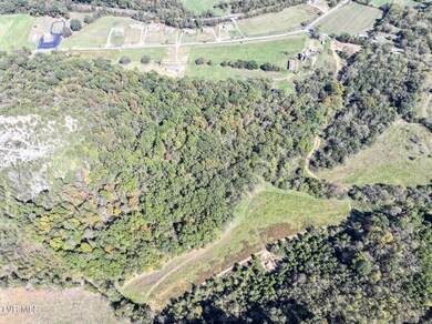 Lot 32 Sinking Springs Rd, Midway, TN 37809 - photo 6