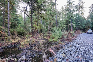 L6B2 Cedar Tree Dr, Coffman Cove, AK 99918 - photo 7