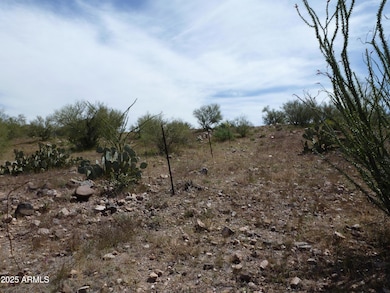 00XXX N Columbia Mine (Lot C) Trail unit 75B, Morristown, AZ 85342 - photo 4