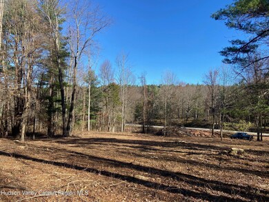 0 Thomas Rd, Claverack, NY 12521 - photo 5