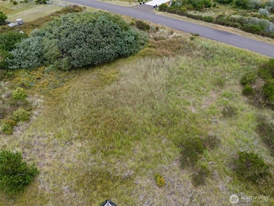 438 S Portal Loop SW, Ocean Shores, WA 98569 - photo 3