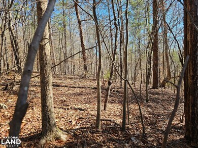 000 Bud Holmes Rd, Pinson, AL 35126 - photo 5