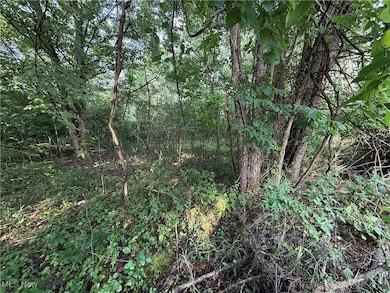 15 Cayuse Trail, Malvern, OH 44644 - photo 3