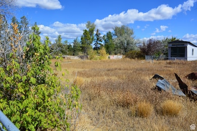 4462 Dingle Rd, Dingle, ID 83233 - photo 3