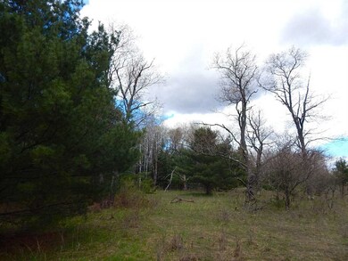 0 Howard Rd, Chandler Township, MI 49713 - photo 4