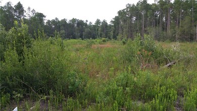 0 Hudson Street Extension, Pearl River, LA 70452 - photo 3