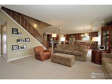 2525 E 141st Place, Thornton, CO 80602 - photo 7
