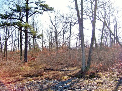 102 Blue Heron Way, Hawley, PA 18428 - photo 2