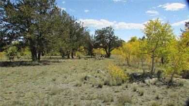 1044 Buffalo Ridge Rd, Como, CO 80432 - photo 2