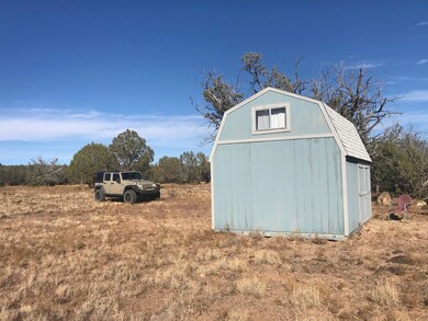 9605 W Big Moon Ln, Ash Fork, AZ 86320 - photo 3