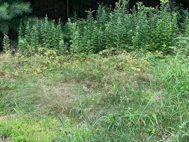 6 Deer Ridge Ln, Kittery, ME 03904 - photo 6