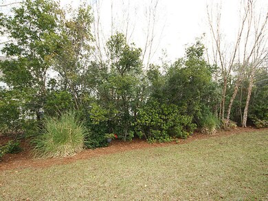 Wooded Buffer