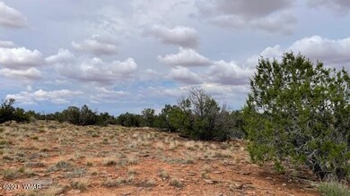 IMG_9870 (1)
