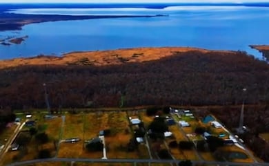 80 Acres, Kraemer, LA 70371 - photo 3