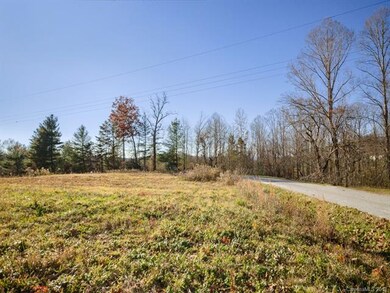 646 Taylor Rd, Hendersonville, NC 28792 - photo 5