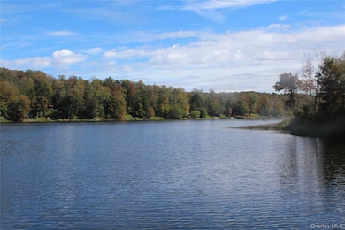 0 Trout Brook Rd unit KEY914251, Fremont, NY 12776 - photo 3