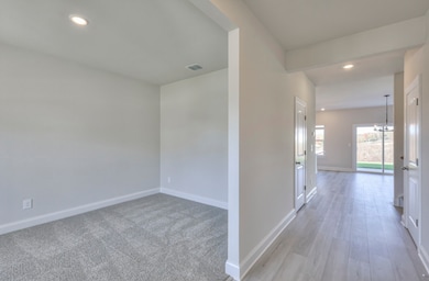 118 Fernbank Ln, Clarksville, TN 37043 - photo 5