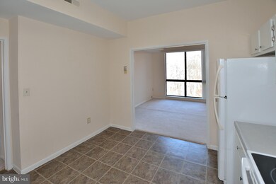 11556 Rolling Green Ct unit 301, Reston, VA 20191 - photo 7