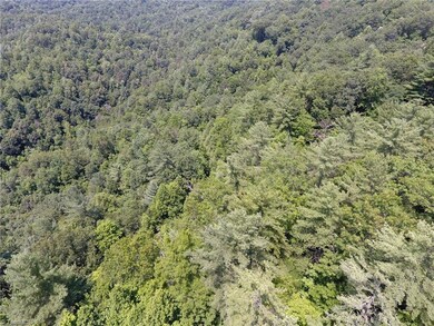 795 Wagon Ridge Ln, Ferguson, NC 28624 - photo 4