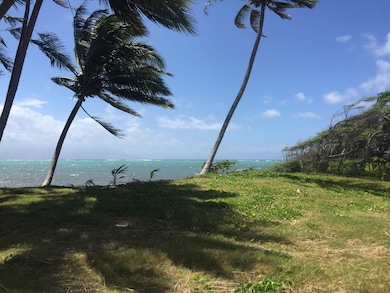 7220 Kamehameha V Hwy unit Kahananui  LOT B, Kaunakakai, HI 96748 - photo 3