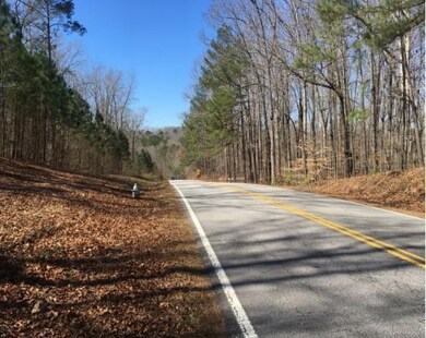 0 Dorsett Shoals Rd unit 7336228, Douglasville, GA 30135 - photo 6