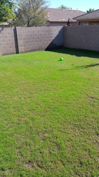 Large Grass Planted Back Yard