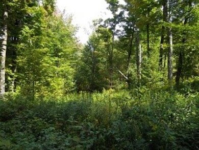 0 W View Ridge Rd, Northfield, VT 05663 - photo 7