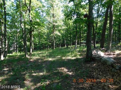 0 Rt 9 W unit 1001953478, Paw Paw, WV 25434 - photo 5