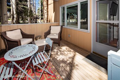 790 W Hallam St unit 3, Aspen, CO 81611 - photo 7