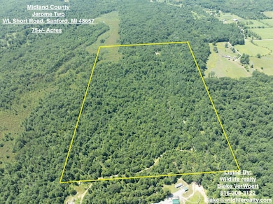 0 W Short Rd unit 25026044, Sanford, MI 48657 - photo 2